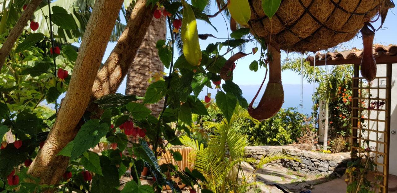 Elescondite El El Sauzal Dış mekan fotoğraf